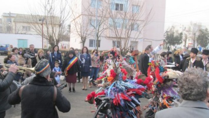Poliţiştii constănţeni, cuprinşi de 